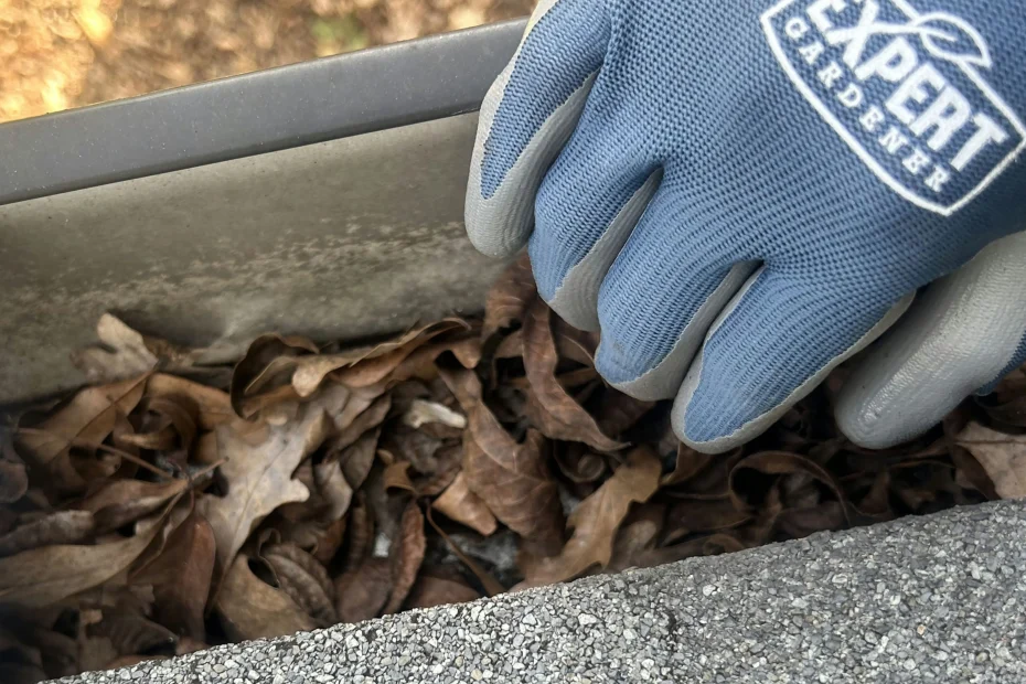 Severance Gutter Cleaning